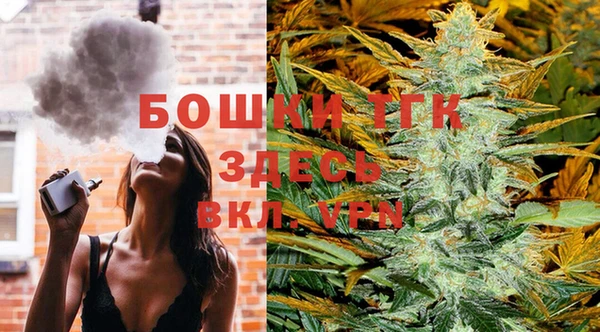 дживик Беломорск