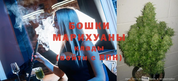 дживик Беломорск