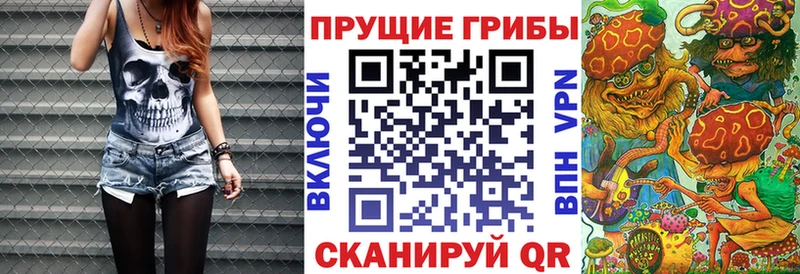 KRAKEN tor  Краснообск  Галлюциногенные грибы MAGIC MUSHROOMS 